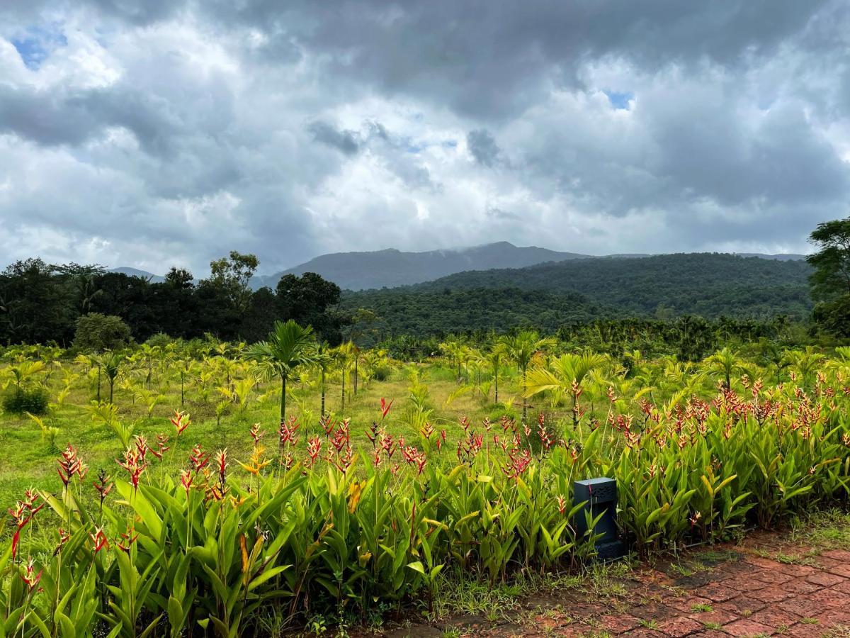 The Postcard Hideaway, Netravali Wildlife Sanctuary, Goa Hotel Vichondrem Exterior foto