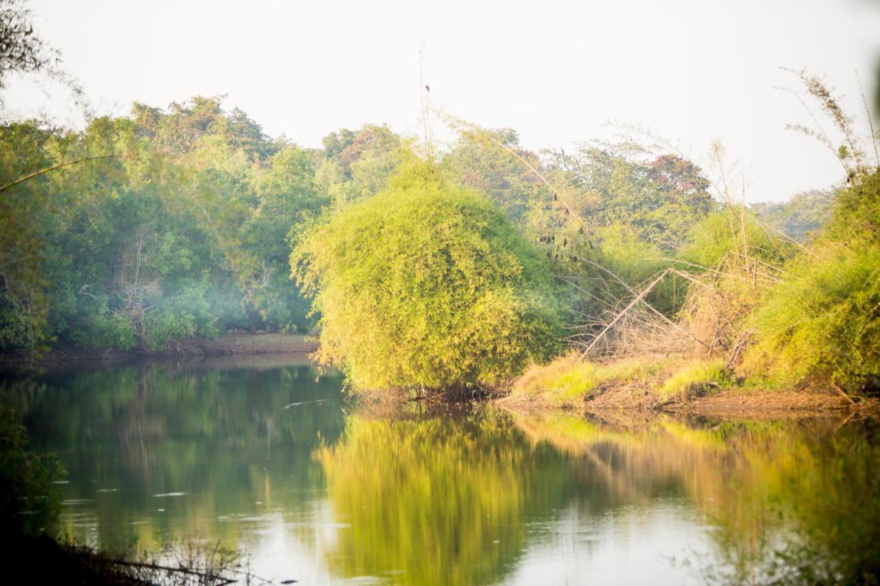 The Postcard Hideaway, Netravali Wildlife Sanctuary, Goa Hotel Vichondrem Exterior foto
